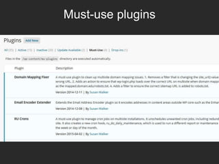 Must-use plugins
 