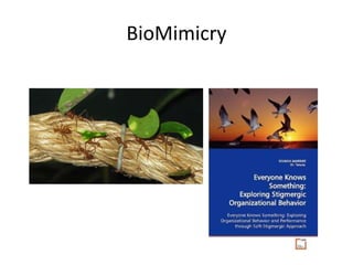 BioMimicry
 