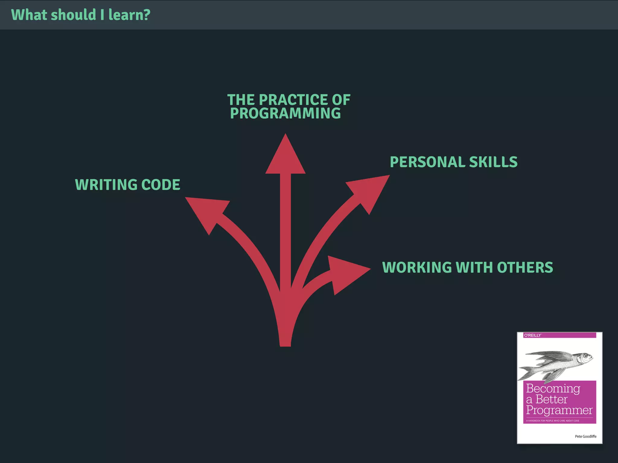 What should I learn?
WRITING CODE
THE PRACTICE OF
PROGRAMMING
PERSONAL SKILLS
WORKING WITH OTHERS
 