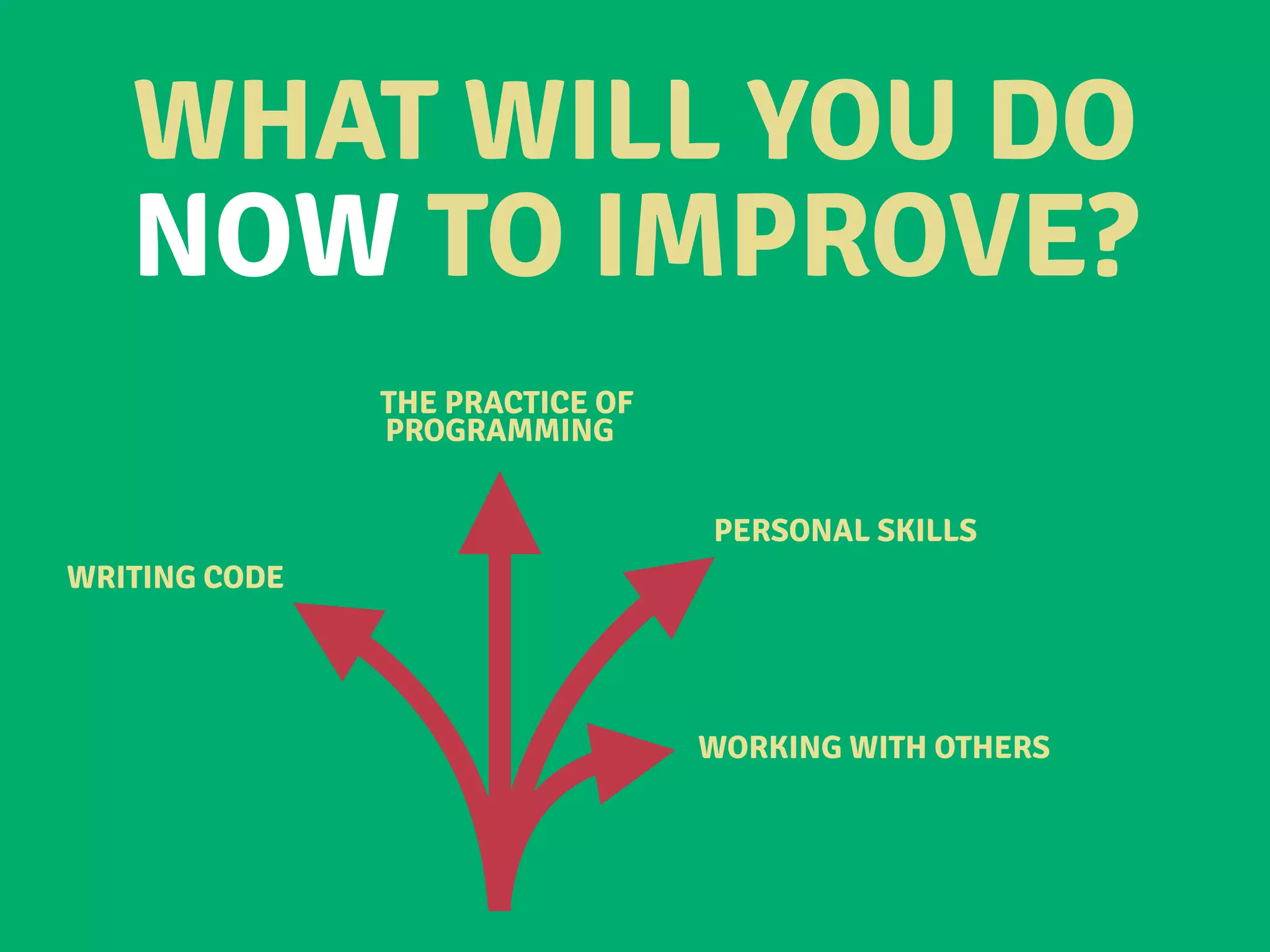 WHAT WILL YOU DO
NOW TO IMPROVE?
WRITING CODE
THE PRACTICE OF
PROGRAMMING
PERSONAL SKILLS
WORKING WITH OTHERS
 
