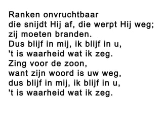 Ranken onvruchtbaar
die snijdt Hij af, die werpt Hij weg;
zij moeten branden.
Dus blijf in mij, ik blijf in u,
't is waarheid wat ik zeg.
Zing voor de zoon,
want zijn woord is uw weg,
dus blijf in mij, ik blijf in u,
't is waarheid wat ik zeg.
 