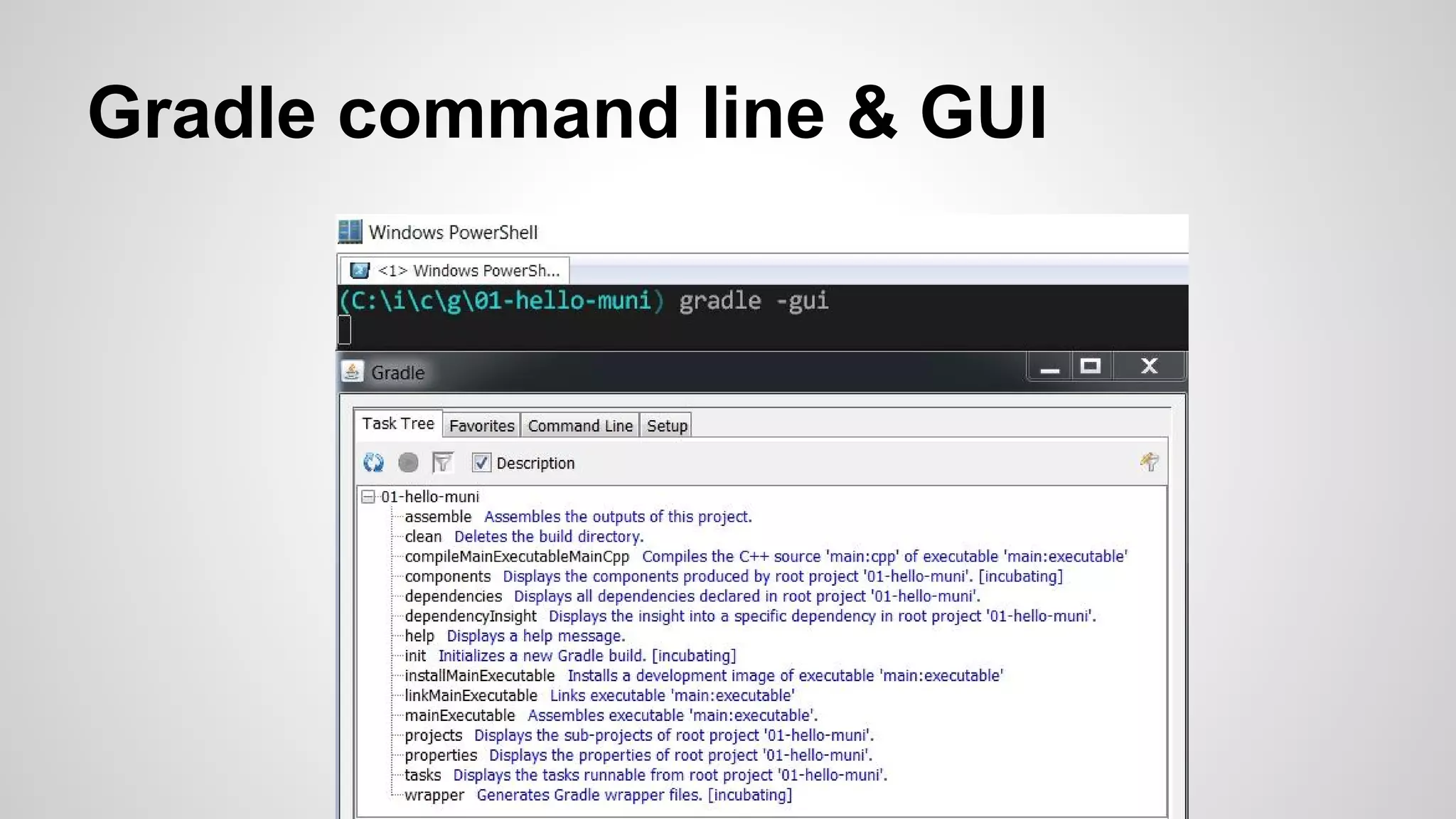 Gradle command line & GUI
 