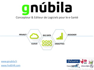 © gnúbila France 2015 -Tous droits réservés
CLOUD
BIG DATA
ANALYTICS
Concepteur & Editeur de Logiciels pour le e-Santé
www.gnubila.fr
www.FedEHR.com
PRIVACY DESIGNER
 