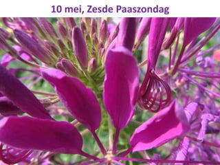 10 mei, Zesde Paaszondag
 