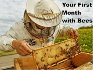 Your First
Month
with Bees
 