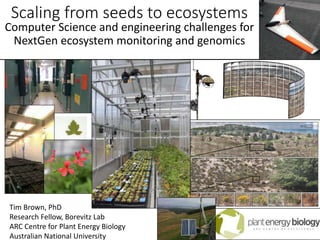 Scaling from seeds to ecosystems
Computer Science and engineering challenges for
NextGen ecosystem monitoring and genomics
Tim Brown, PhD
Research Fellow, Borevitz Lab
ARC Centre for Plant Energy Biology
Australian National University
 