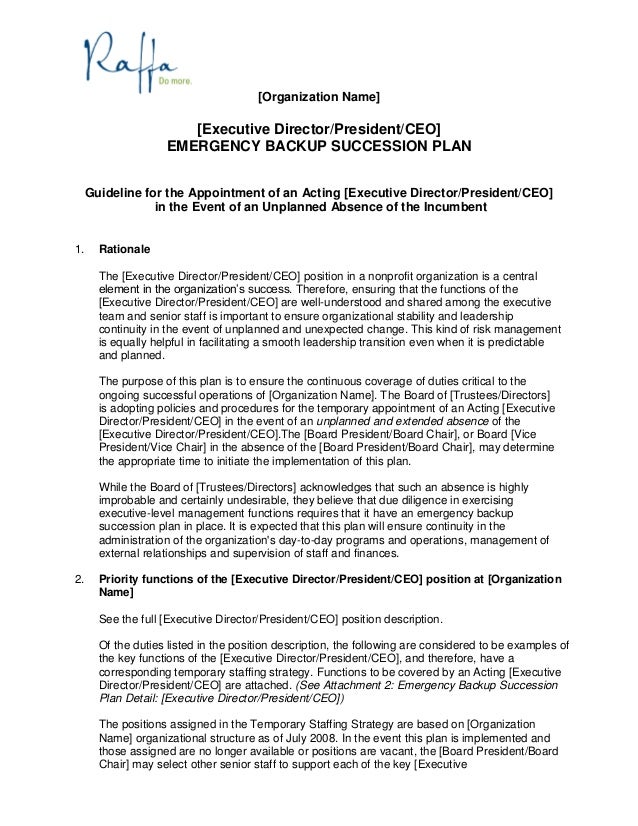 ceo position description