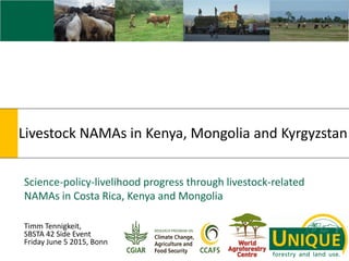 Livestock NAMAs in Kenya, Mongolia and Kyrgyzstan
Science-policy-livelihood progress through livestock-related
NAMAs in Costa Rica, Kenya and Mongolia
Timm Tennigkeit,
SBSTA 42 Side Event
Friday June 5 2015, Bonn
 