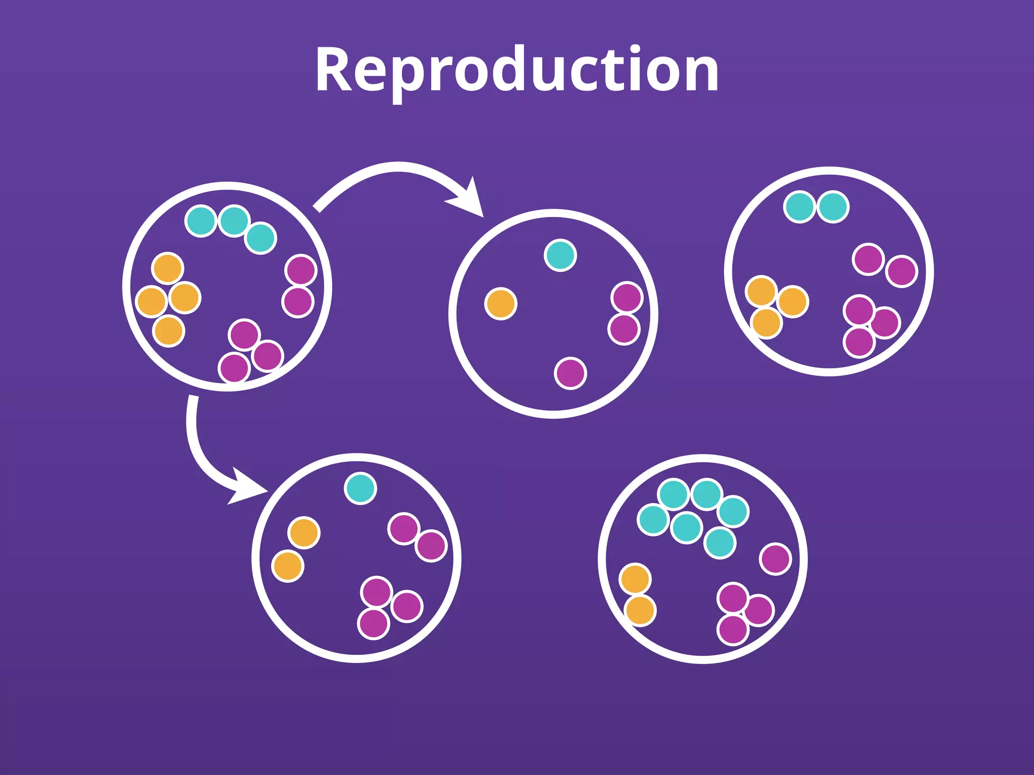 Reproduction
 
