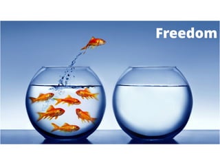Freedom
 