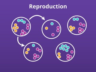 Reproduction
 