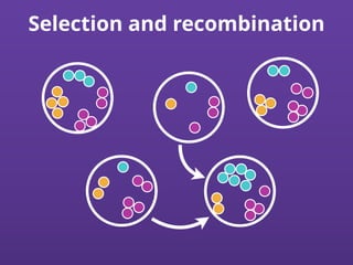 Selection and recombination
 