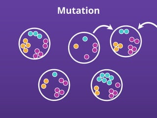 Mutation
 