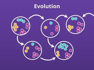 Evolution
 