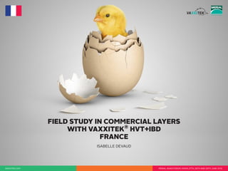 FIELD STUDY IN COMMERCIAL LAYERS
WITH VAXXITEK®
HVT+IBD
FRANCE
ISABELLE DEVAUD
MERIAL AVIAN FORUM, ROMA 27TH, 28TH AND 29TH JUNE 2012VAXXITEK.COM
 