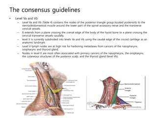 The consensus guidelines
• Level Va and Vb
– Level Va and Vb (Table 4) contains the nodes of the posterior triangle group ...