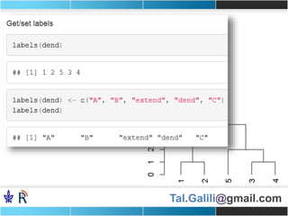 Tal.Galili@gmail.com
 