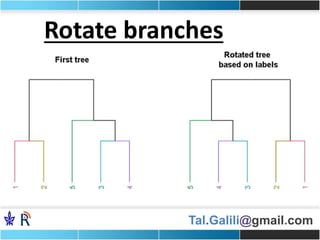 Tal.Galili@gmail.com
Rotate branches
 