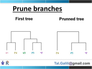 Tal.Galili@gmail.com
Prune branches
 