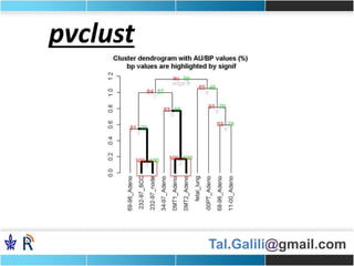 Tal.Galili@gmail.com
pvclust
 