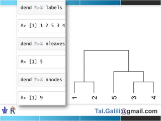 Tal.Galili@gmail.com
 