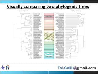 Tal.Galili@gmail.com
Visually comparing two phylogenic trees
 