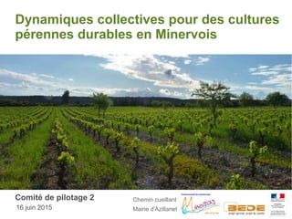 Dynamiques collectives pour des cultures
pérennes durables en Minervois
Comité de pilotage 2
16 juin 2015
Chemin cueillant
Mairie d'Azillanet
 