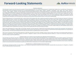 Project Look Back Look Forward Project Statement Example AuRico Metals - Corporate Presentation | PDF