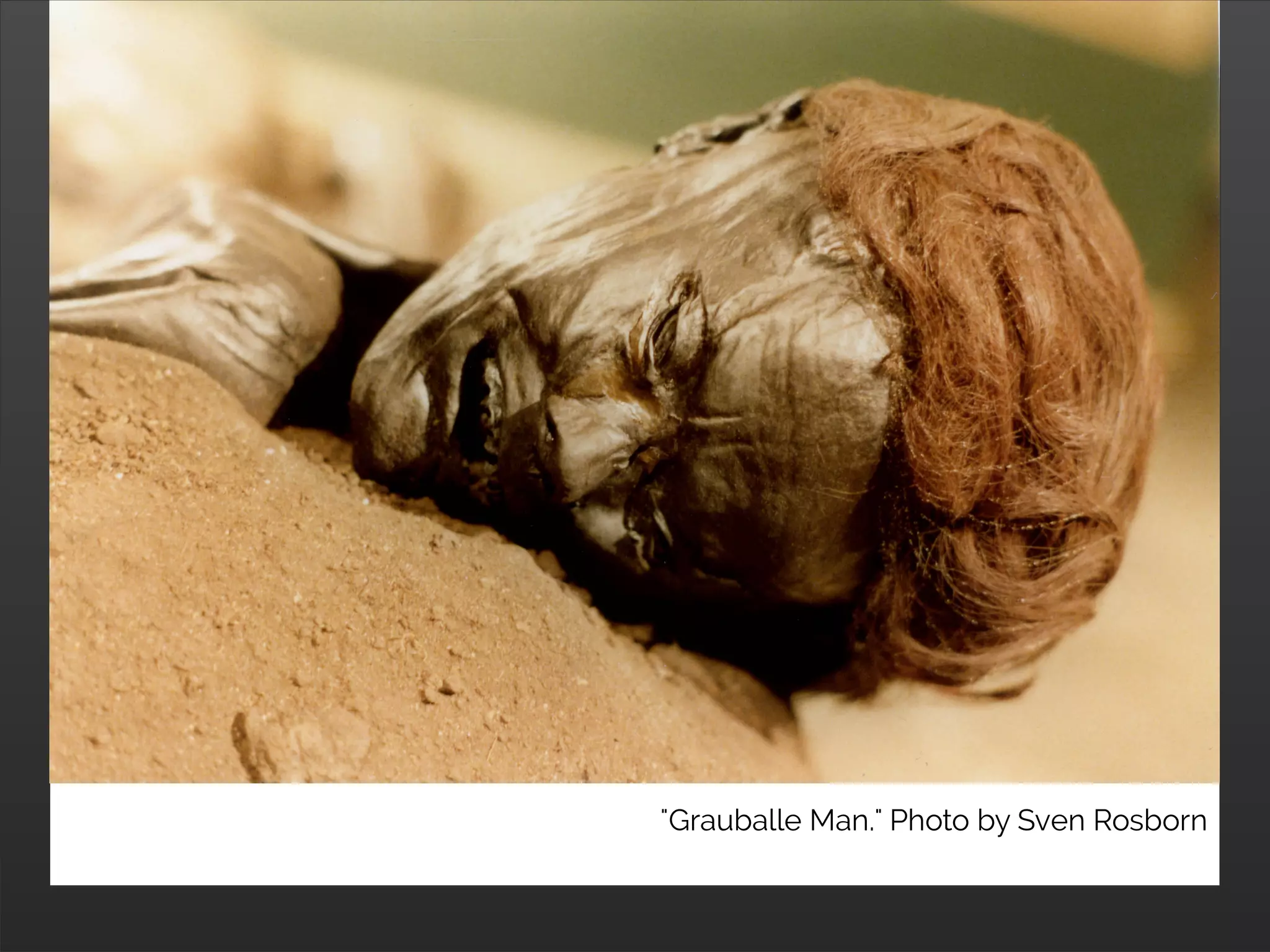 "Grauballe Man." Photo by Sven Rosborn
 