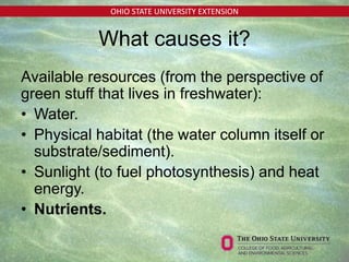 OHIO STATE UNIVERSITY EXTENSION
Available resources (from the perspective of
green stuff that lives in freshwater):
• Water.
• Physical habitat (the water column itself or
substrate/sediment).
• Sunlight (to fuel photosynthesis) and heat
energy.
• Nutrients.
What causes it?
 