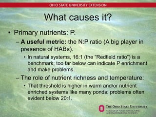 OHIO STATE UNIVERSITY EXTENSION
• Primary nutrients: P.
– A useful metric: the N:P ratio (A big player in
presence of HABs).
• In natural systems, 16:1 (the “Redfield ratio”) is a
benchmark; too far below can indicate P enrichment
and make problems.
– The role of nutrient richness and temperature:
• That threshold is higher in warm and/or nutrient
enriched systems like many ponds: problems often
evident below 20:1.
What causes it?
 