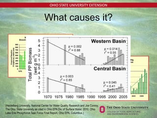 OHIO STATE UNIVERSITY EXTENSION
(Heidelberg University, National Center for Water Quality Research and Joe Conroy,
The Ohio State University as cited in Ohio EPA Div. of Surface Water. 2010. Ohio
Lake Erie Phosphorus Task Force Final Report. Ohio EPA, Columbus.)
What causes it?
 