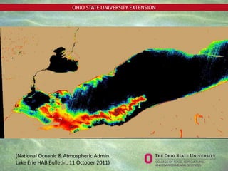 OHIO STATE UNIVERSITY EXTENSION
(National Oceanic & Atmospheric Admin.
Lake Erie HAB Bulletin, 11 October 2011)
 