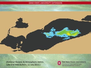 OHIO STATE UNIVERSITY EXTENSION
(National Oceanic & Atmospheric Admin.
Lake Erie HAB Bulletin, 11 July 2012.)
 