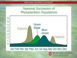 OHIO STATE UNIVERSITY EXTENSION
 