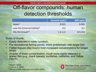 OHIO STATE UNIVERSITY EXTENSION
Off-flavor compounds: human
detection thresholds
Geosmin (ppb) MIB (ppb)
Water1 0.015 0.035
Lean fish (Channel Catfish)2 0.2 0.5
Oily fish (trout)3,4 1.2–1.5 0.5–0.8
1 Howgate (2004)
2 Grimm et al. (2004)
3,4 Persson (1980), Robertson and Lawton (2003)
Rules of thumb:
• Easily detected in water (yucky!).
• For recreational fishing ponds, more problematic with larger fish.
• Fattier tissues (like trouts) hold increased concentrations for longer
times.
• In spite of lower concentration, much more easily detected in
leaner fish (e.g., black basses, sunfishes, catfishes, and Yellow
Perch).
 
