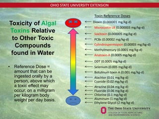 OHIO STATE UNIVERSITY EXTENSION
• Reference Dose =
amount that can be
ingested orally by a
person, above which
a toxic effect may
occur, on a milligram
per kilogram body
weight per day basis.
Toxicity of Algal
Toxins Relative
to Other Toxic
Compounds
found in Water
Dioxin (0.000001 mg/kg-d)
Microcystin LR (0.000003 mg/kg-d)
Saxitoxin (0.000005 mg/kg-d)
PCBs (0.00002 mg/kg-d)
Cylindrospermopsin (0.00003 mg/kg-d)
Methylmercury (0.0001 mg/kg-d)
Anatoxin-A (0.0005 mg/kg-d)
DDT (0.0005 mg/kg-d)
Selenium (0.005 mg/kg-d)
Alachlor (0.01 mg/kg-d)
Cyanide (0.02 mg/kg-d)
Atrazine (0.04 mg/kg-d)
Fluoride (0.06 mg/kg-d)
Chlorine (0.1 mg/kg-d)
Aluminum (1 mg/kg-d)
Ethylene Glycol (2 mg/kg-d)
Botulinum toxin A (0.001 mg/kg-d)
Toxin Reference Doses
 