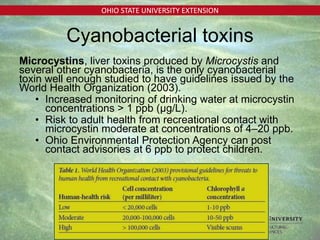 OHIO STATE UNIVERSITY EXTENSION
Cyanobacterial toxins
Microcystins, liver toxins produced by Microcystis and
several other cyanobacteria, is the only cyanobacterial
toxin well enough studied to have guidelines issued by the
World Health Organization (2003).
• Increased monitoring of drinking water at microcystin
concentrations > 1 ppb (μg/L).
• Risk to adult health from recreational contact with
microcystin moderate at concentrations of 4–20 ppb.
• Ohio Environmental Protection Agency can post
contact advisories at 6 ppb to protect children.
 