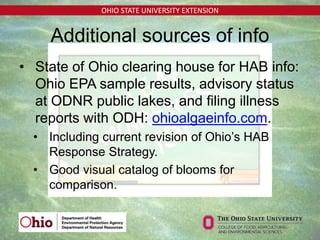OHIO STATE UNIVERSITY EXTENSION
• State of Ohio clearing house for HAB info:
Ohio EPA sample results, advisory status
at ODNR public lakes, and filing illness
reports with ODH: ohioalgaeinfo.com.
• Including current revision of Ohio’s HAB
Response Strategy.
• Good visual catalog of blooms for
comparison.
Additional sources of info
 
