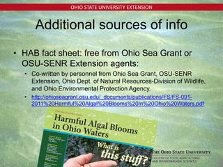 OHIO STATE UNIVERSITY EXTENSION
Additional sources of info
• HAB fact sheet: free from Ohio Sea Grant or
OSU-SENR Extension agents:
• Co-written by personnel from Ohio Sea Grant, OSU-SENR
Extension, Ohio Dept. of Natural Resources-Division of Wildlife,
and Ohio Environmental Protection Agency.
• http://ohioseagrant.osu.edu/_documents/publications/FS/FS-091-
2011%20Harmful%20Algal%20Blooms%20In%20Ohio%20Waters.pdf
 