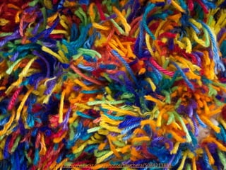 8 https://www.flickr.com/photos/hkuchera/5084213883
 