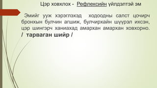 Цэр ховхлох - Рефлексийн үйлдэлтэй эм
Эмийг ууж хэрэглэхэд ходоодны салст цочирч
бронхын булчин агшиж, булчирхайн шүүрэл ихсэн,
цэр шингэрч ханиахад амархан амархан ховхорно.
/ тарваган шийр /
 