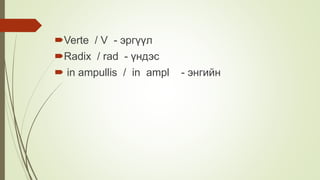 Verte / V - эргүүл
Radix / rad - үндэс
 in ampullis / in ampl - энгийн
 