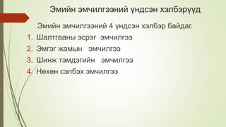 Эмийн эмчилгээний үндсэн хэлбэрүүд
Эмийн эмчилгээний 4 үндсэн хэлбэр байдаг.
1. Шалтгааны эсрэг эмчилгээ
2. Эмгэг жамын эмчилгээ
3. Шинж тэмдэгийн эмчилгээ
4. Нөхөн сэлбэх эмчилгээ
 