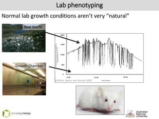 Lab phenotyping
Normal lab growth conditions aren’t very “natural”
Kulheim, Agren, and Jansson 2002
Real World
Growth Chamber
 