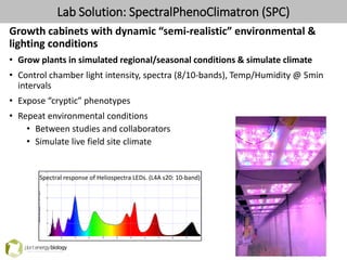 Growth cabinets with dynamic “semi-realistic” environmental &
lighting conditions
• Grow plants in simulated regional/seasonal conditions & simulate climate
• Control chamber light intensity, spectra (8/10-bands), Temp/Humidity @ 5min
intervals
• Expose “cryptic” phenotypes
• Repeat environmental conditions
• Between studies and collaborators
• Simulate live field site climate
Lab Solution: SpectralPhenoClimatron (SPC)
Spectral response of Heliospectra LEDs. (L4A s20: 10-band)
 