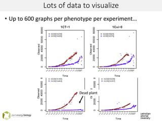Lots of data to visualize
• Up to 600 graphs per phenotype per experiment…
Dead plant
 