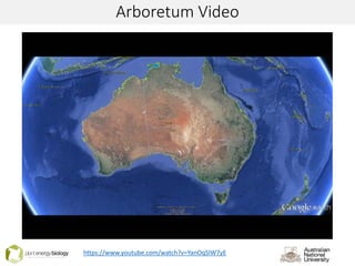 Arboretum Video
https://www.youtube.com/watch?v=YanOqSlW7yE
 