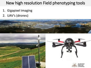New high resolution Field phenotyping tools
1. Gigapixel imaging
2. UAV’s (drones)
 