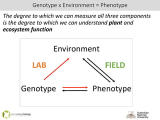Genotype x Environment = Phenotype
The degree to which we can measure all three components
is the degree to which we can understand plant and
ecosystem function
FIELDLAB
 
